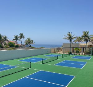 IMG_9037